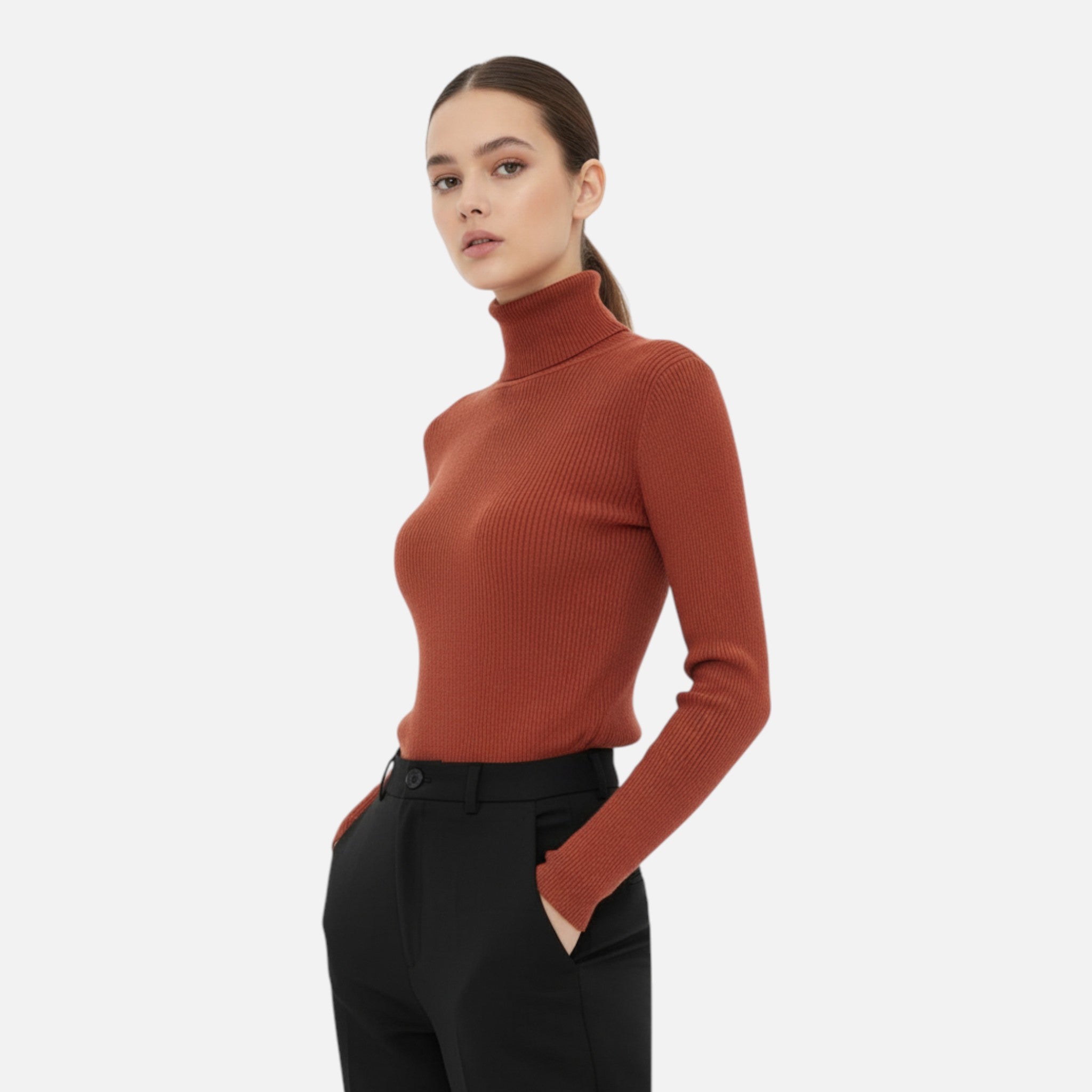 Ancienne Monde | Pull Col Roulé Doux Femme
