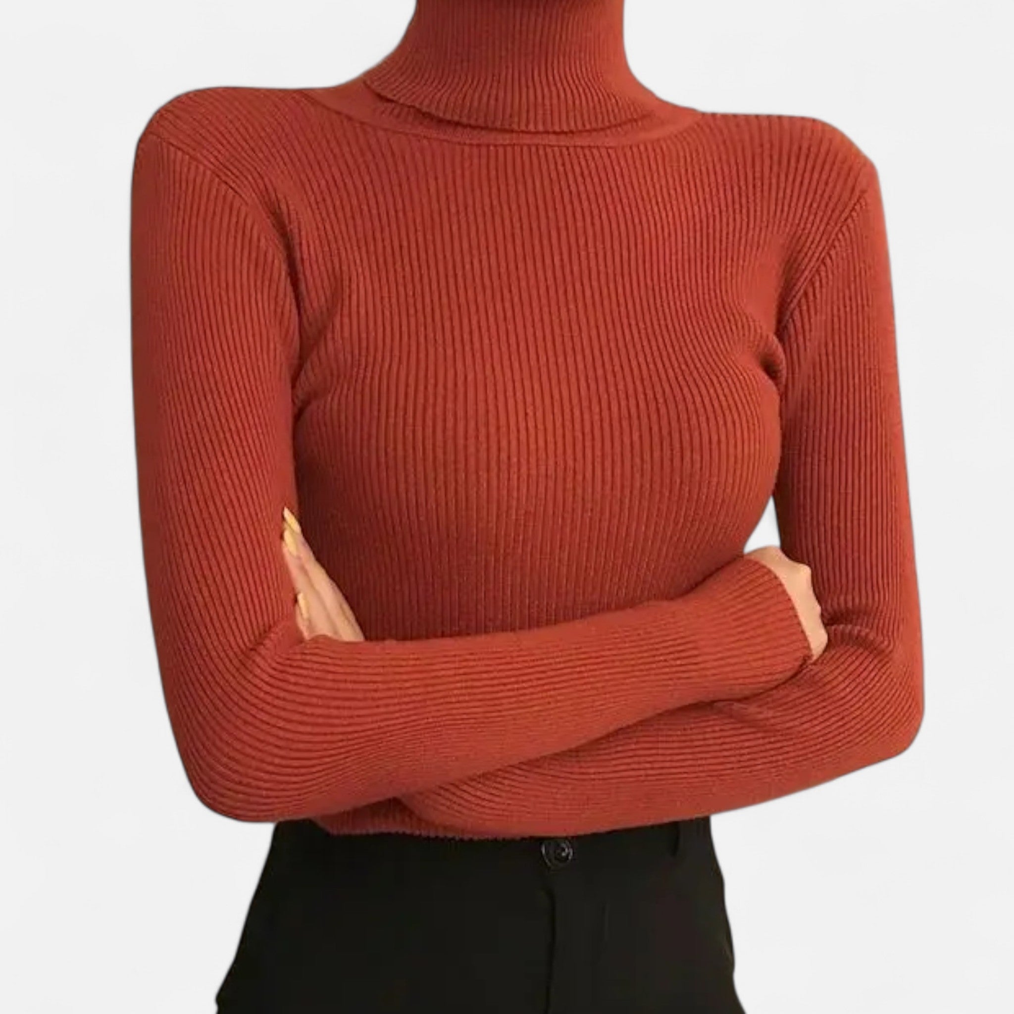 Ancienne Monde | Pull Col Roulé Doux Femme