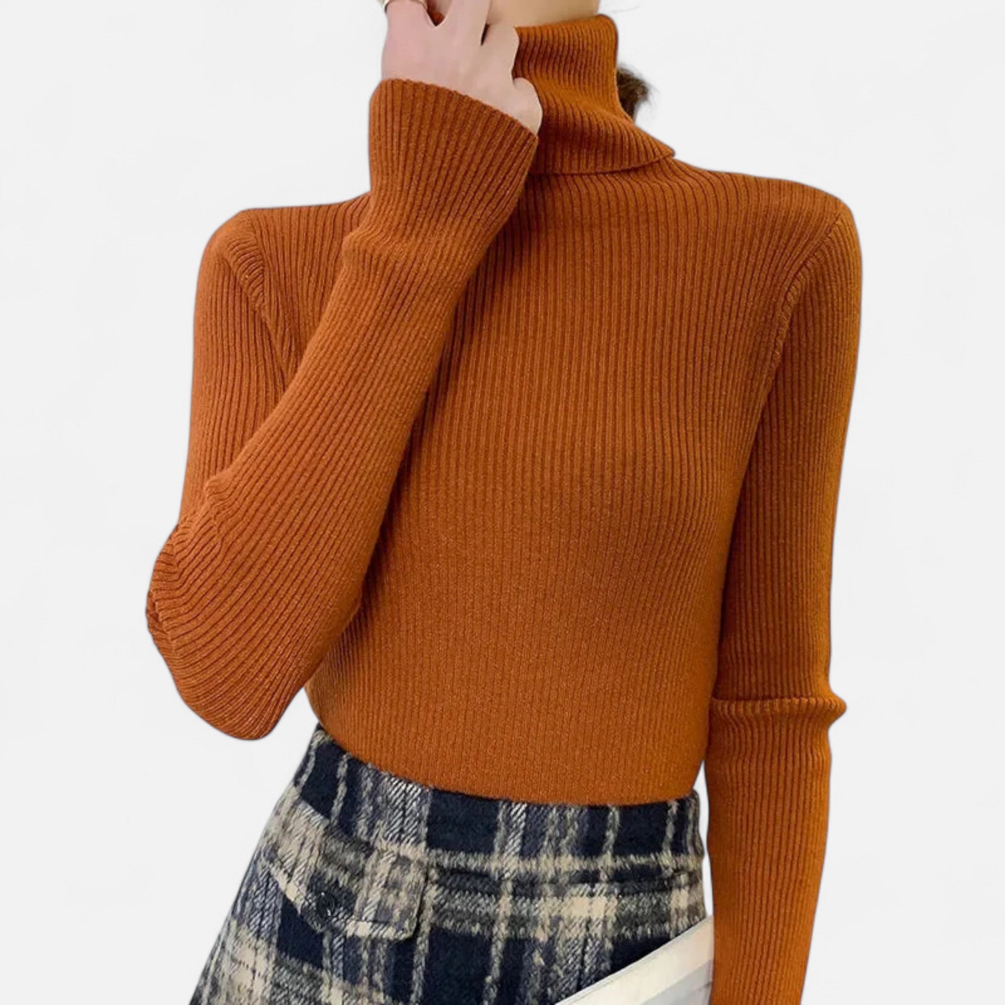 Ancienne Monde | Pull Col Roulé Doux Femme