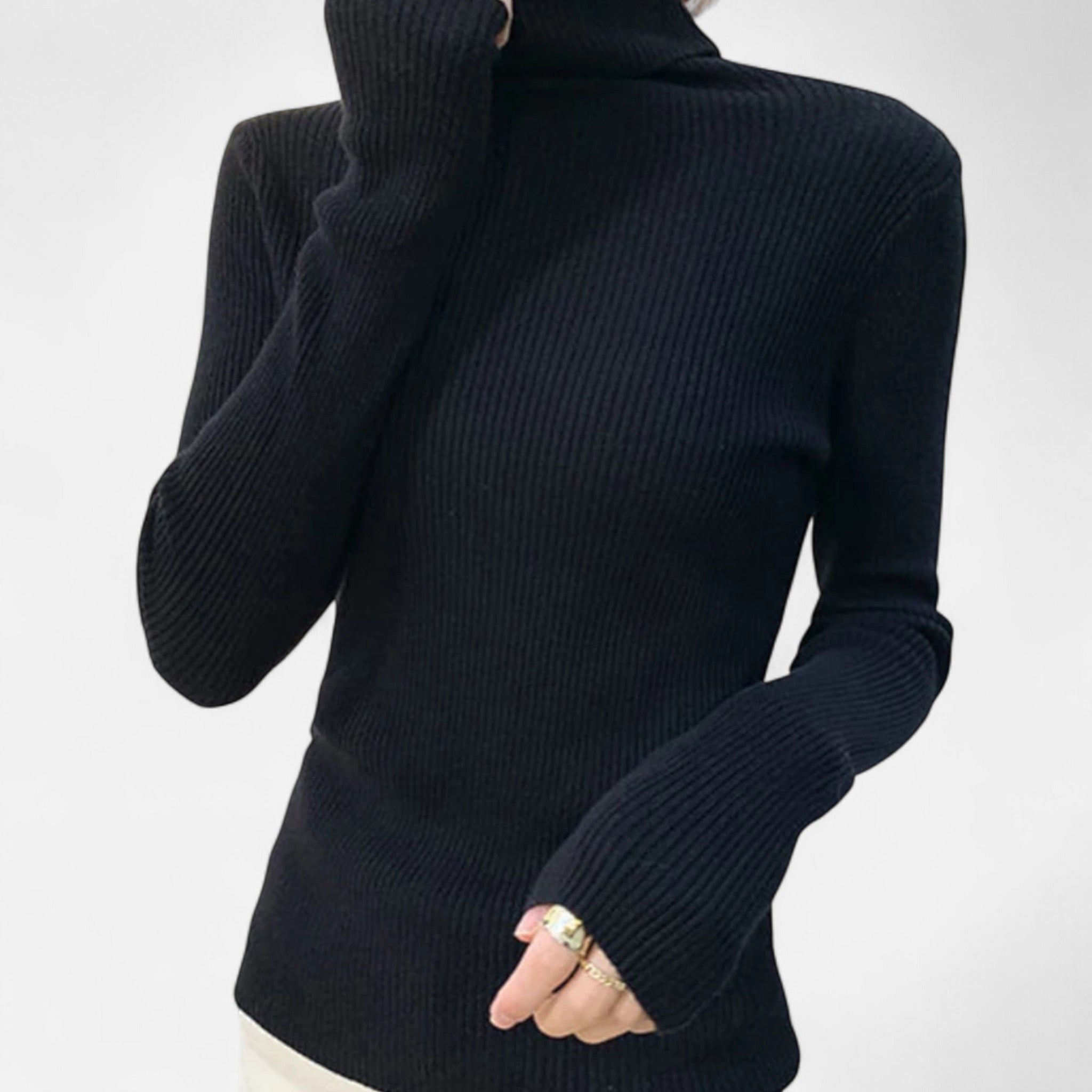 Ancienne Monde | Pull Col Roulé Doux Femme