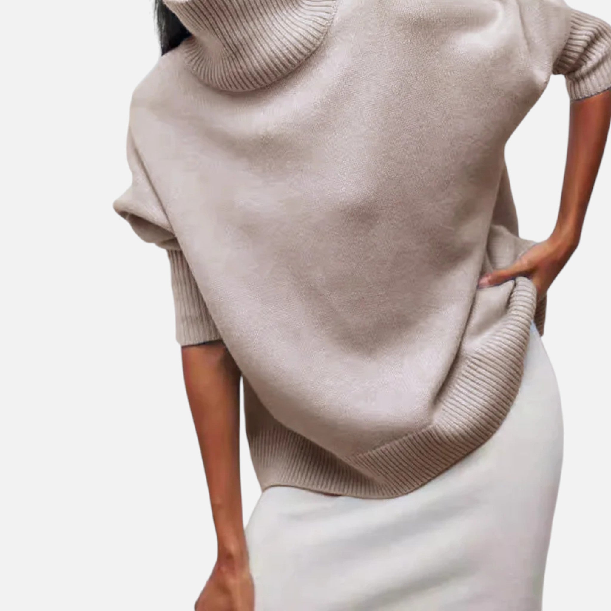 Ancienne Monde | Pull Col Roulé Épais Femme