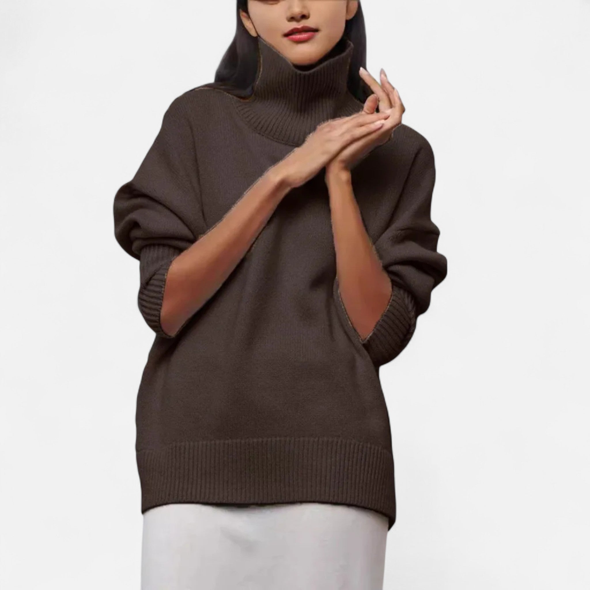 Ancienne Monde | Pull Col Roulé Épais Femme