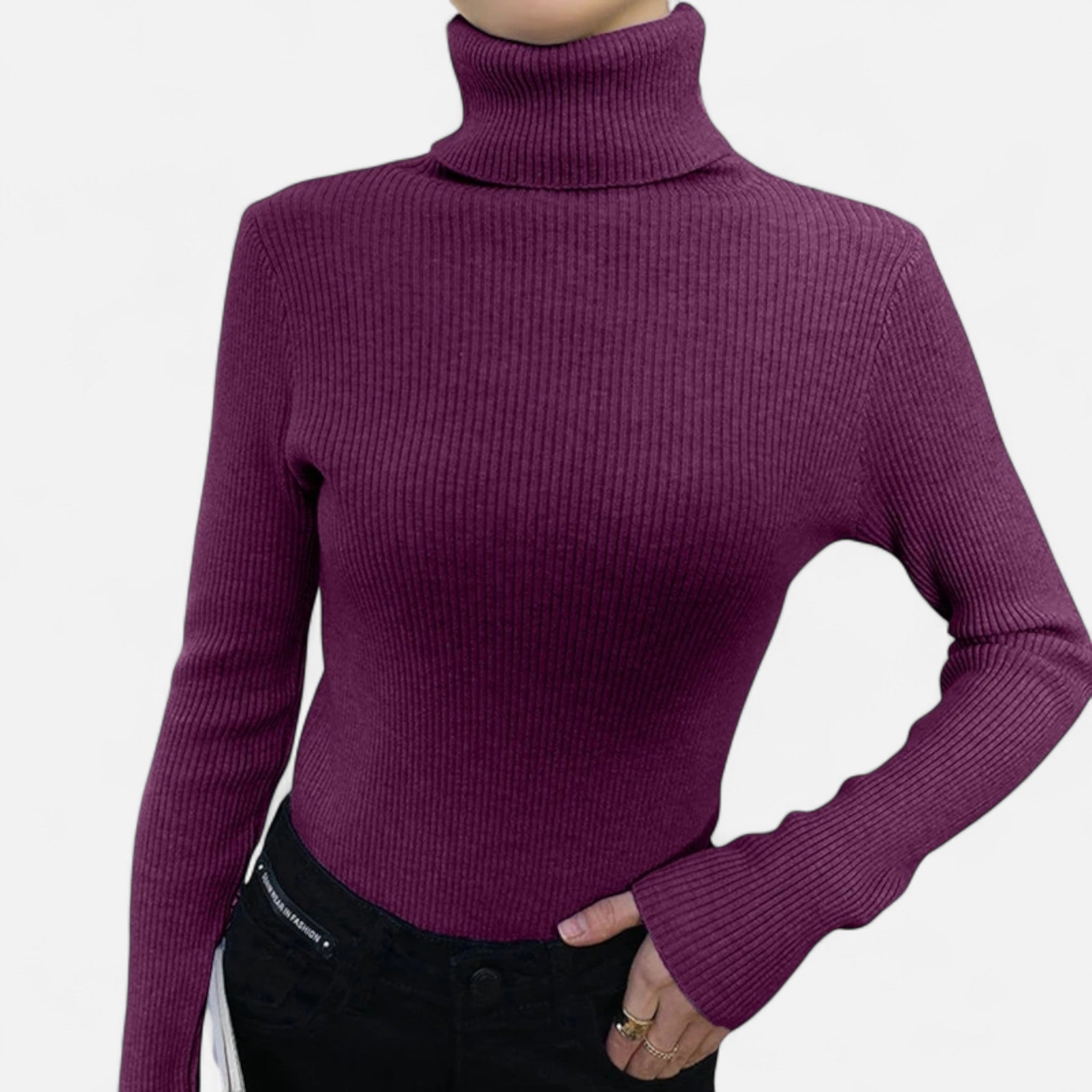 Ancienne Monde | Pull Col Roulé Doux Femme