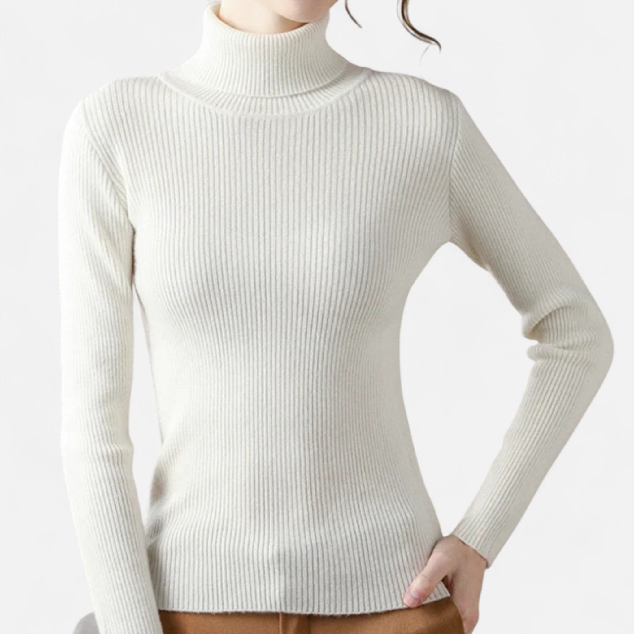 Ancienne Monde | Pull Col Roulé Doux Femme