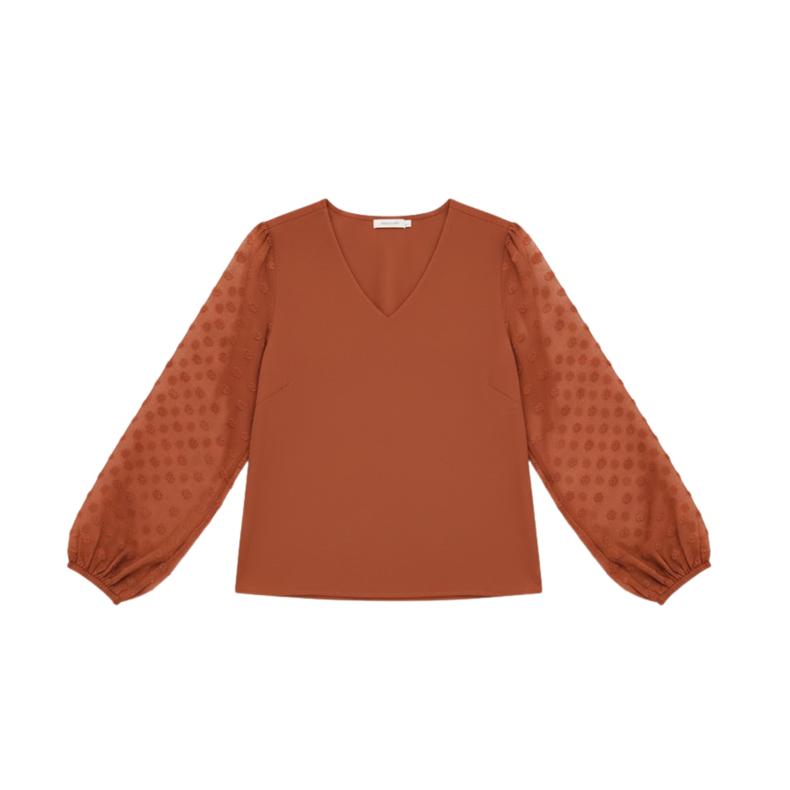 Women's blouse with V-neck, puffed textured sleeves, dotted sheer fabric, flowing