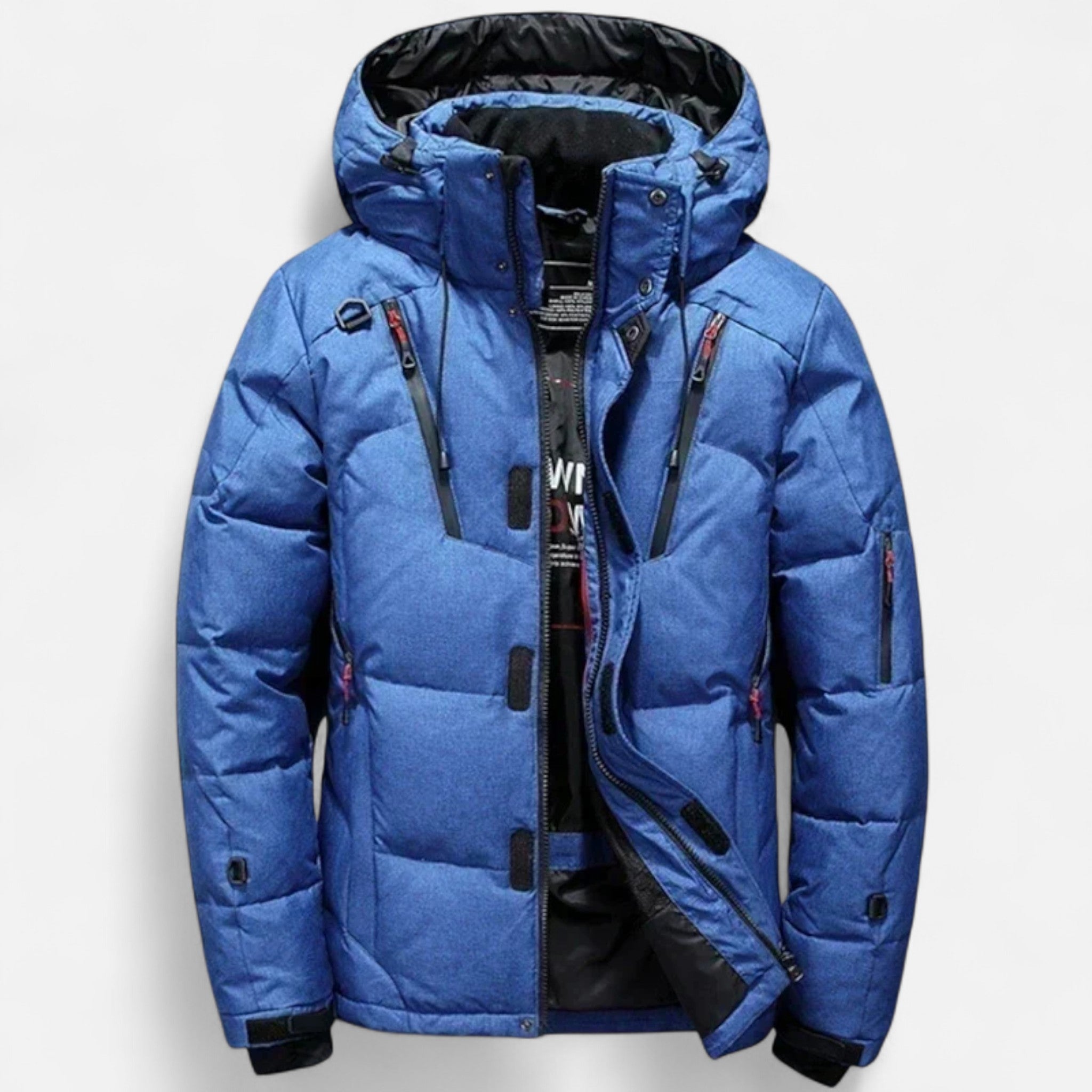 Ancienne Monde | Casaco de penas masculino de inverno com capuz elegante