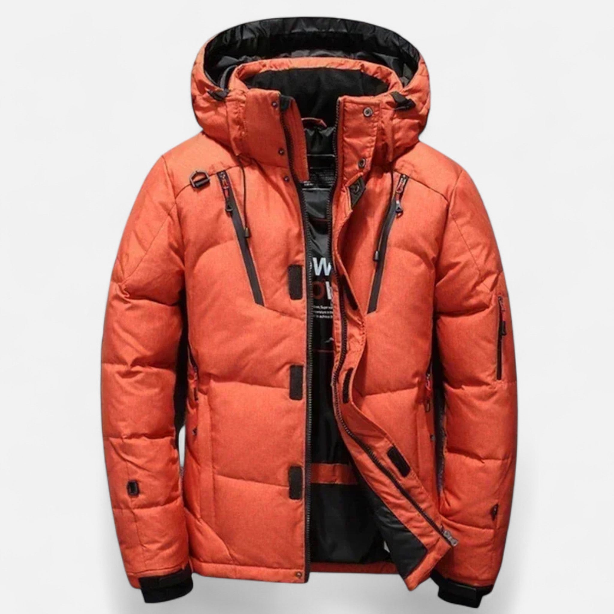 Ancienne Monde | Casaco de penas masculino de inverno com capuz elegante