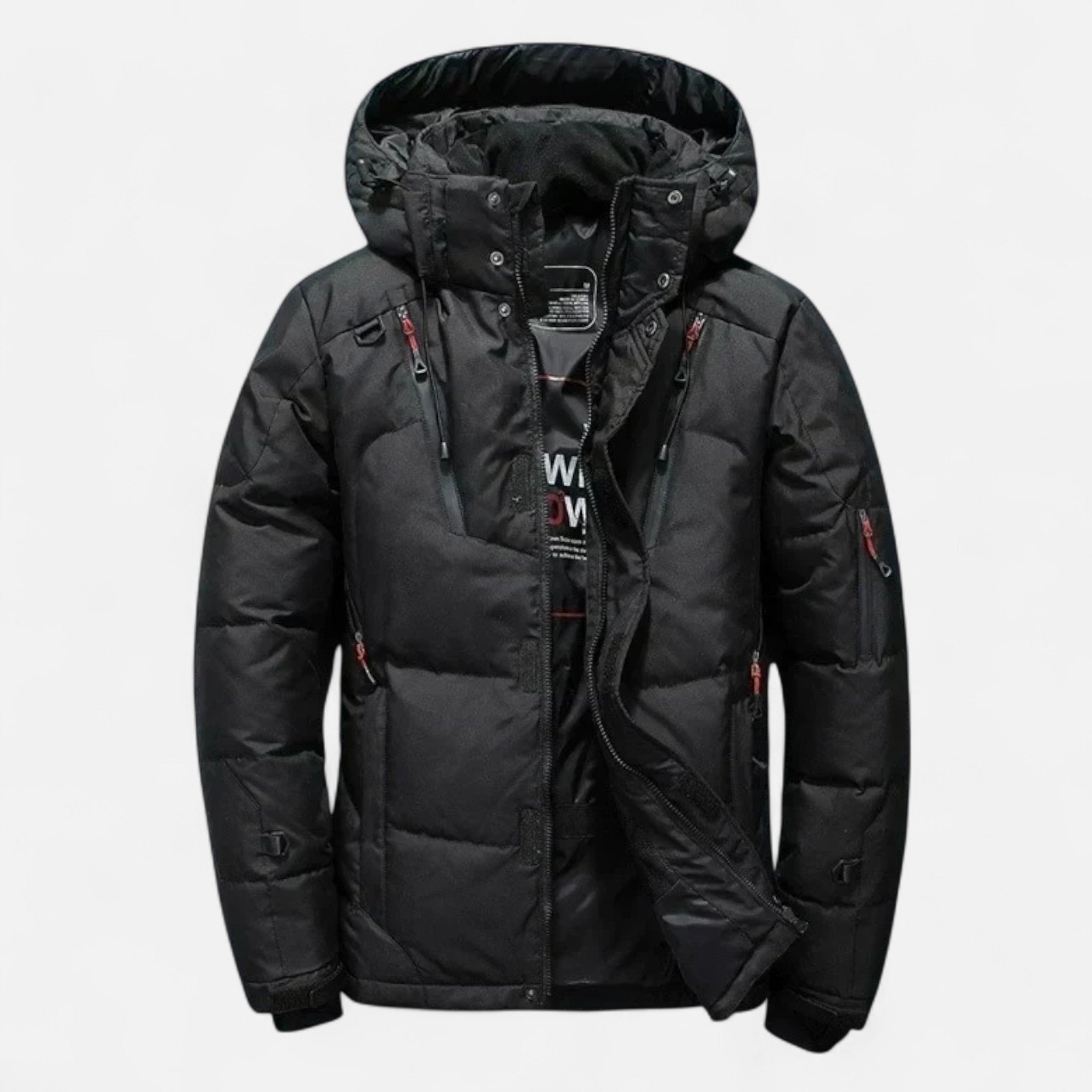 Ancienne Monde | Casaco de penas masculino de inverno com capuz elegante